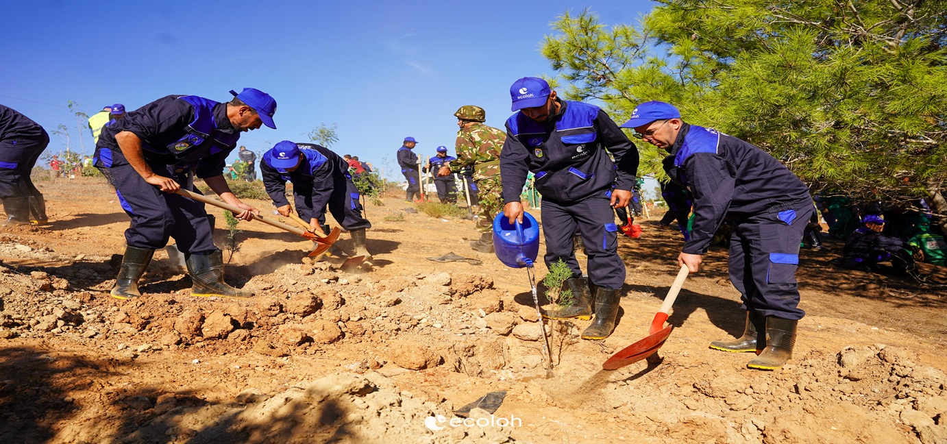 مؤسسة إيكولوه تشارك في الحملة الوطنية للتشجير تحت شعار #خضراء_بإذن_الله